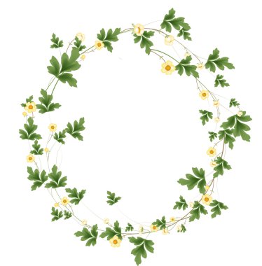 Daire çerçeve çiçek kavramı