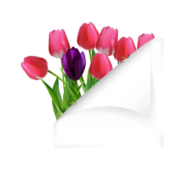 Fondo de flor de primavera con papel clavado — Vector de stock