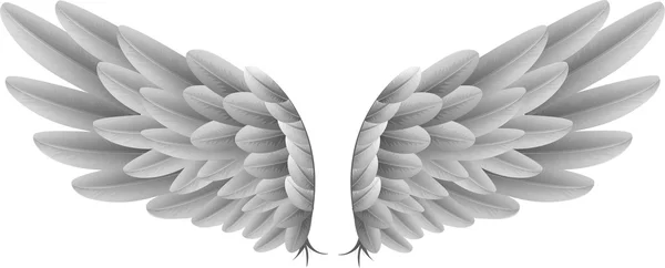 Φυσικό λευκό πούπουλο χήνας φτερά με φόντο — Διανυσματικό Αρχείο