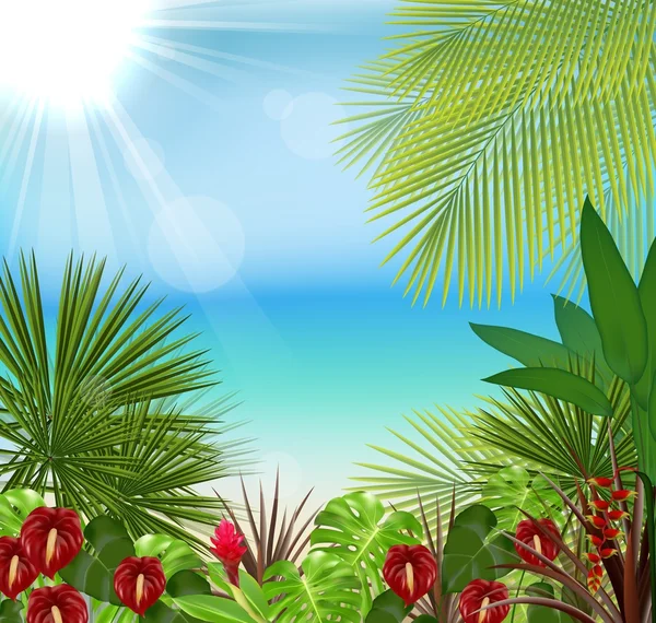 Gyönyörű trópusi fa és a virágok reggel — Stock Vector