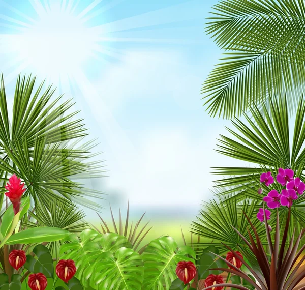Hermoso tropical en la mañana con un árbol y flores — Vector de stock