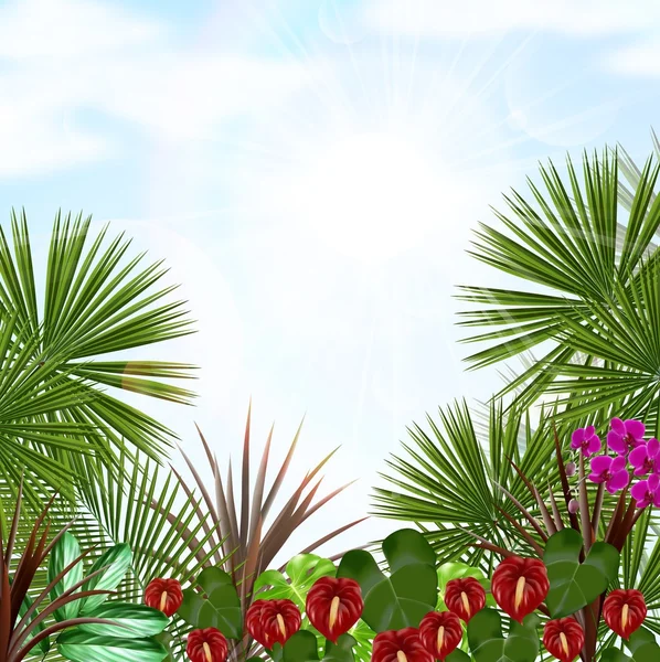 Sabah bir ağaç ve çiçekleri ile güzel tropikal — Stok Vektör