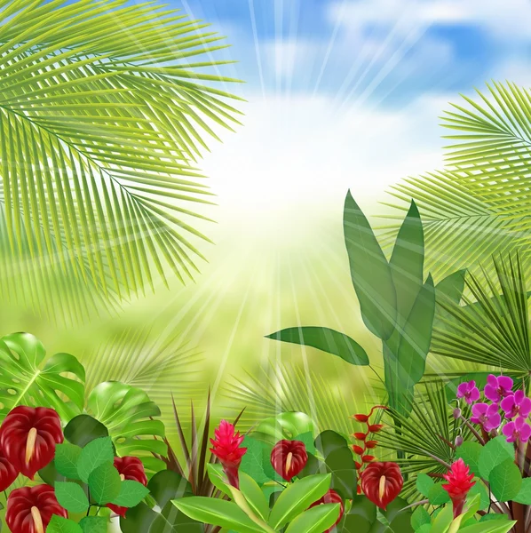 Schöne tropische am Morgen mit einem Baum und Blumen — Stockvektor