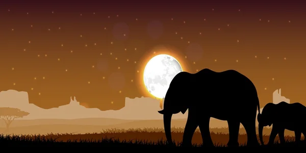 Coucher de soleil famille éléphant — Image vectorielle