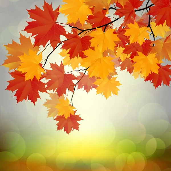Осенние листья. — стоковый вектор
