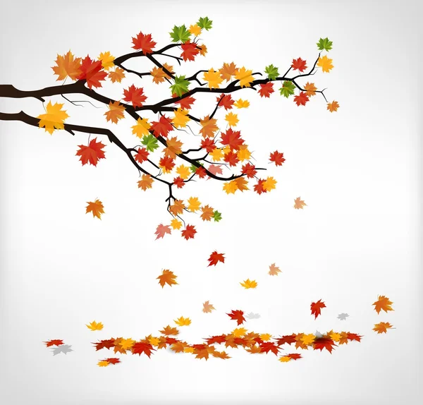 Autumn branch with falling leaves — Stock Vector