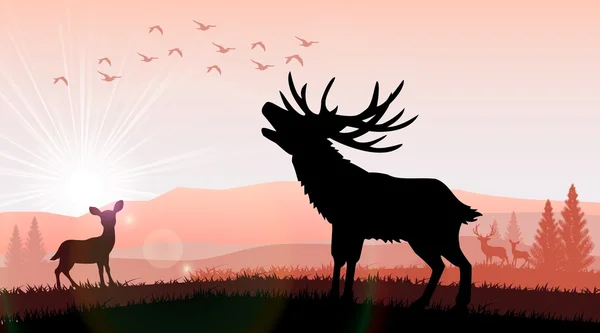 Silhouette un cerf et kangourou l'alimentation dans le coucher de soleil lumineux — Image vectorielle