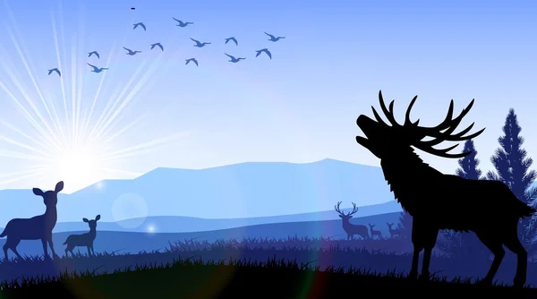 Silhouette de cerfs et de kangourous debout à l'heure du matin — Image vectorielle