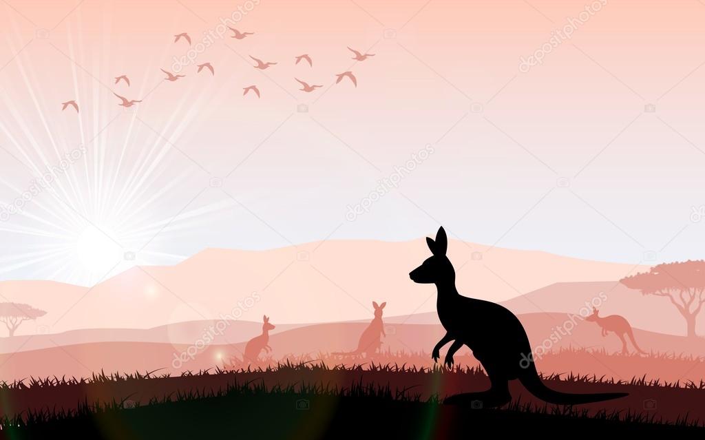 Silhouette a kangaroo the feeding in the bright sunset