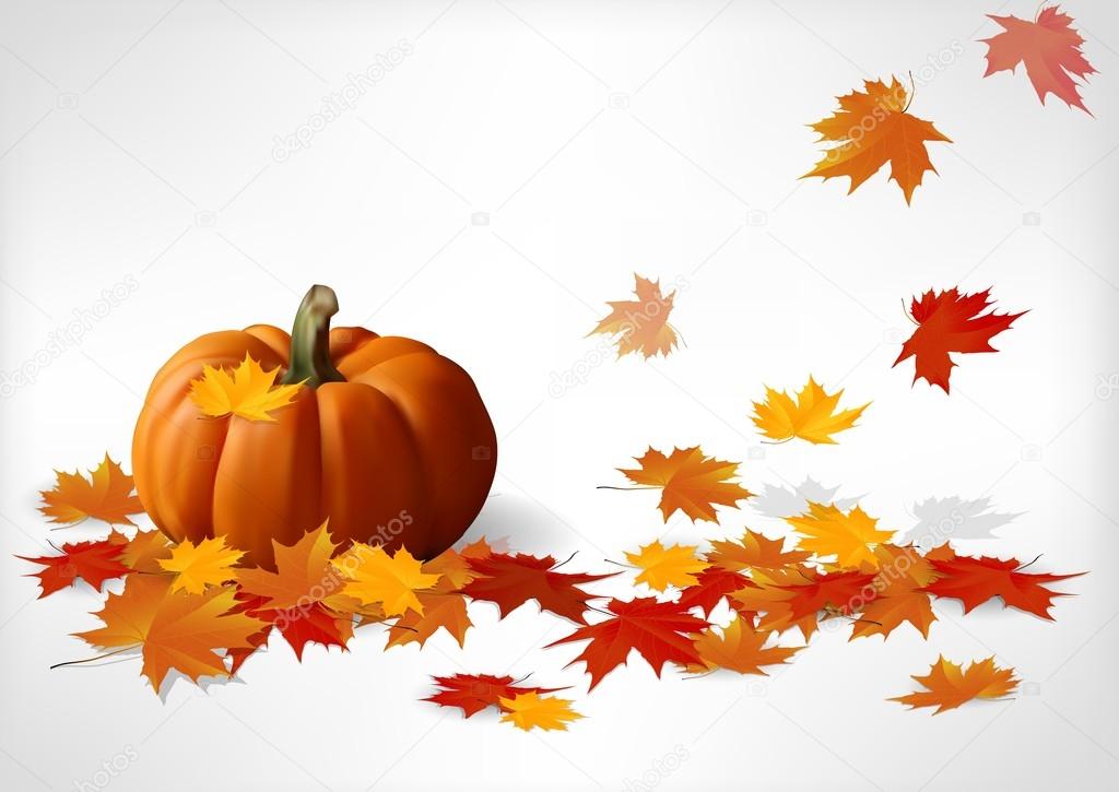 Autumn and pumpkins white background