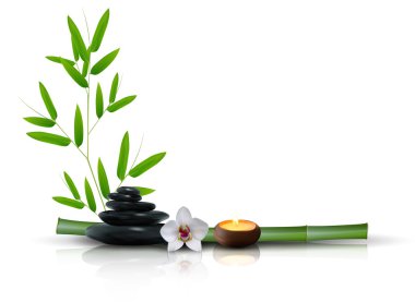 Taş, çiçek ve bambu arka plan izole