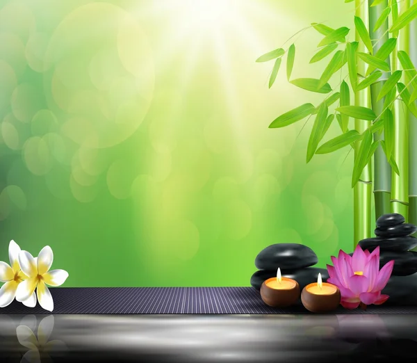 Bambu, çiçekler, taş, balmumu ve arka plan üzerinde büyük taş — Stok Vektör