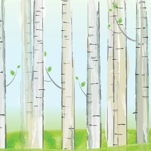 Bosque de Aspen fondo — Vector de stock