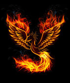 Tűz ég Főnix madár-fekete háttér