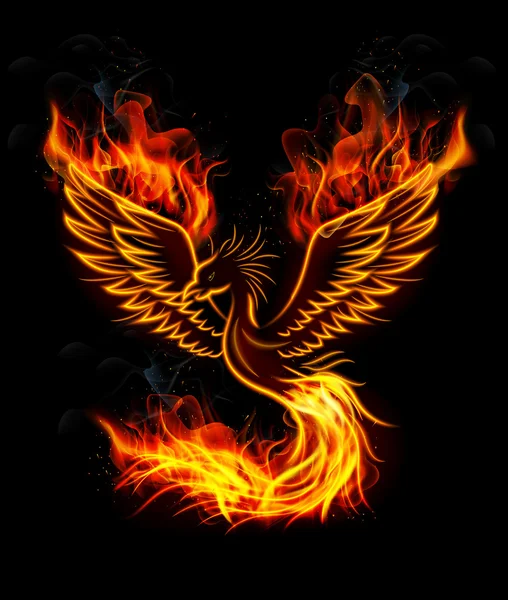 Fuego ardiente Phoenix Bird con fondo negro — Vector de stock