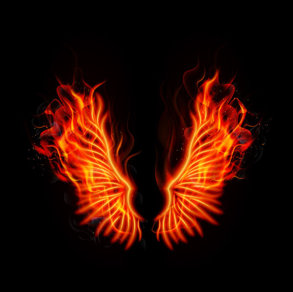Fire burning wings