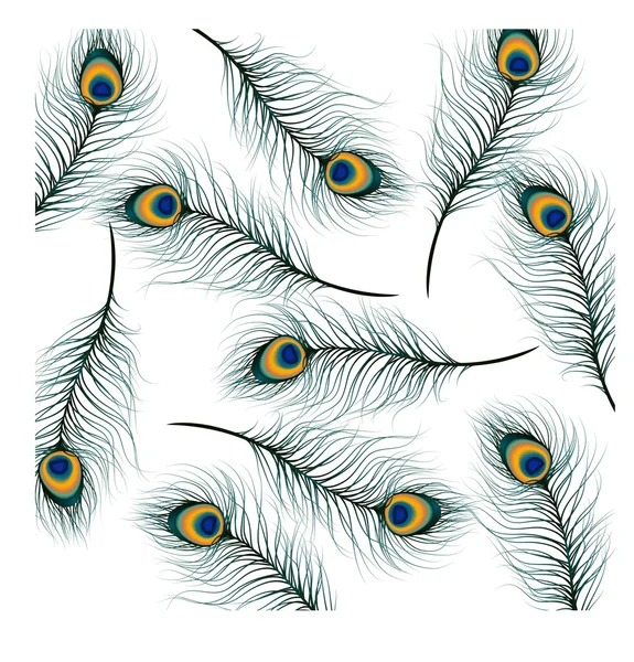 Pluma de pavo real sobre fondo aislado — Archivo Imágenes Vectoriales