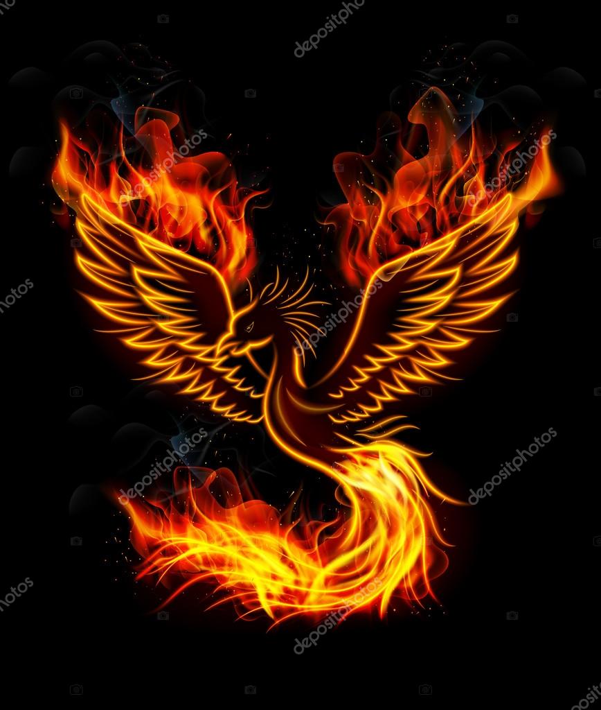 depositphotos_88146566 stock illustration fire burning phoenix bird with