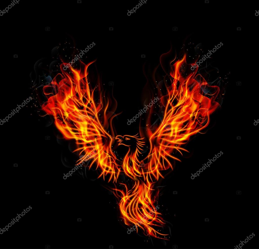 Fire burning Phoenix Bird with black background — Stock Vector