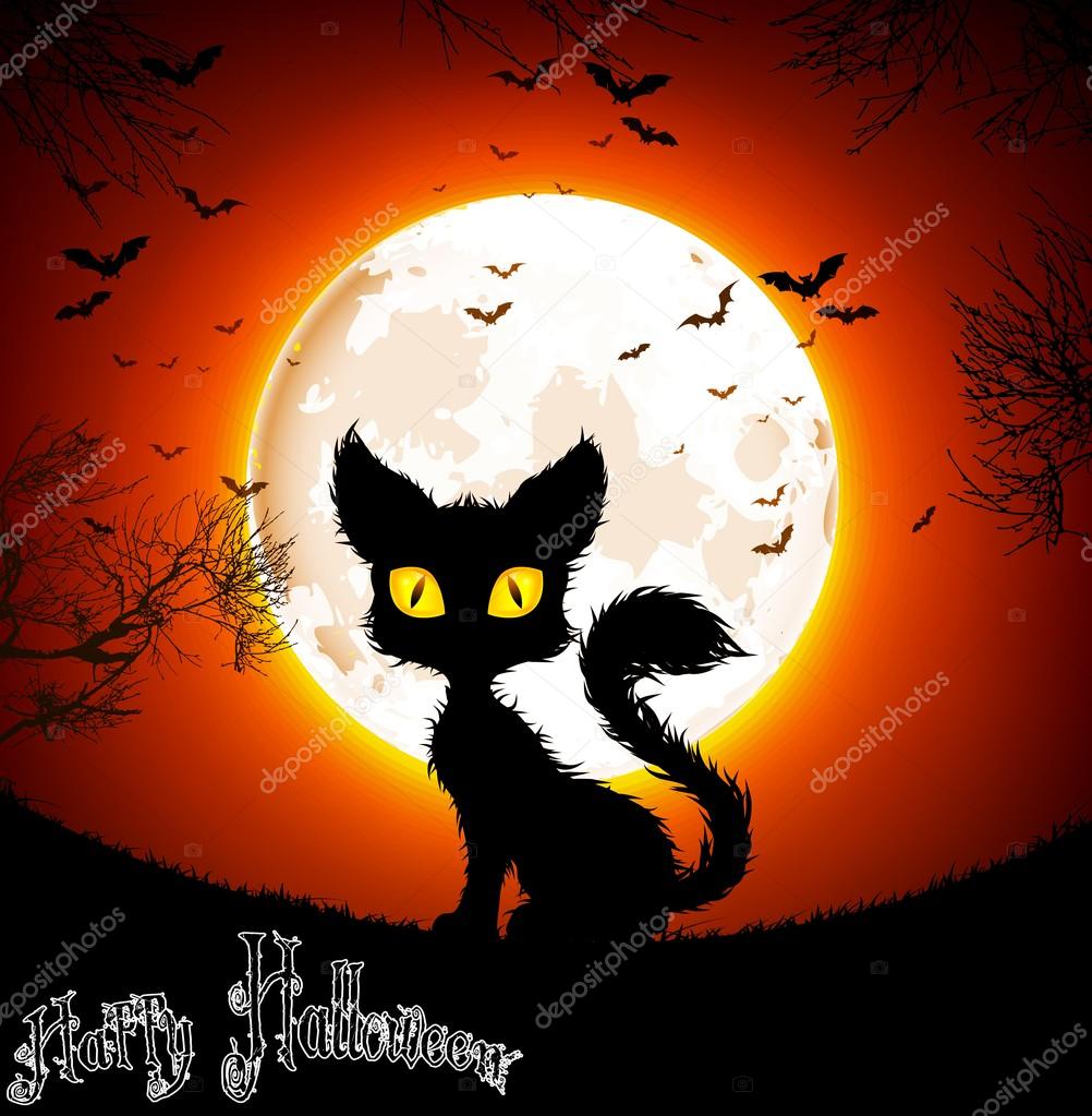 Halloween background a cat