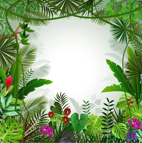 Fond tropical magnifique — Image vectorielle