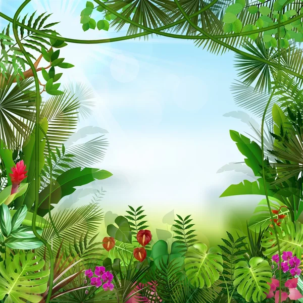 Fondo tropical hermoso — Vector de stock