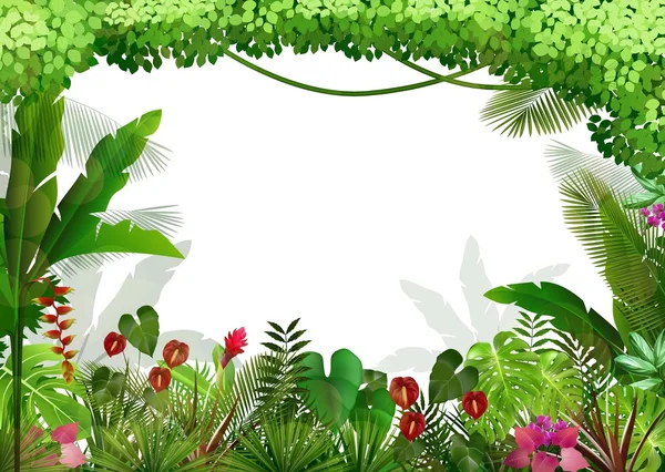 Fond tropical magnifique — Image vectorielle