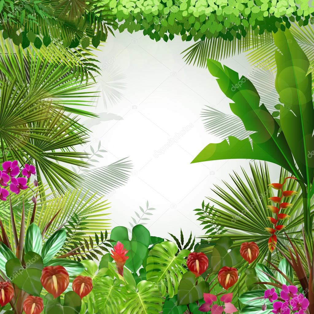 Tropical background beautiful