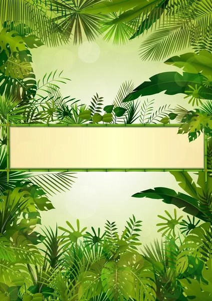 Тропический фон с прямоугольной цветочной рамкой в концепции бамбука — стоковый вектор