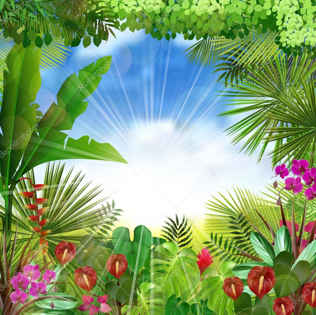 Tropical background beautiful