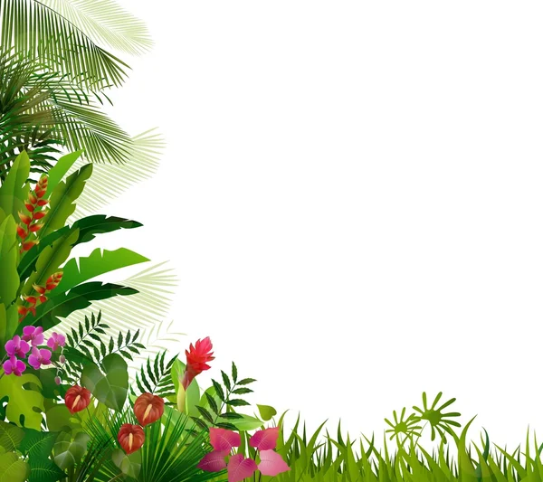 Тропические растения на изолированном фоне — стоковый вектор