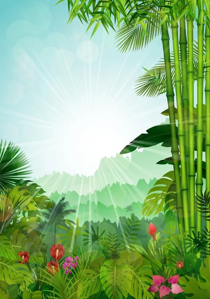 Paisaje forestal de fondo tropical con rayos de sol — Vector de stock