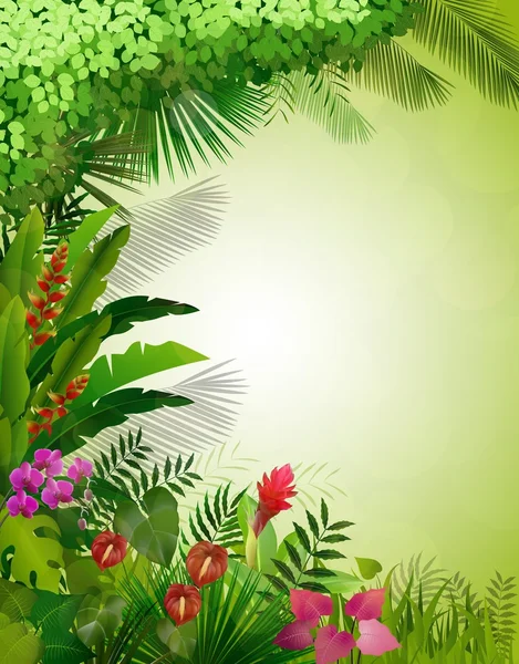 Exotické tropické pozadí — Stockový vektor
