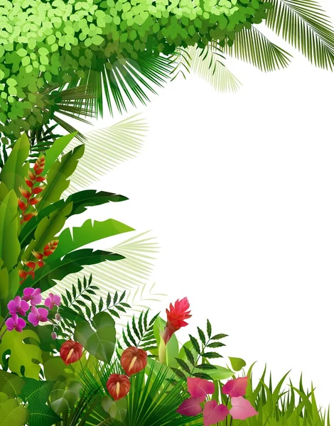 Planta tropical sobre fondo aislado — Vector de stock