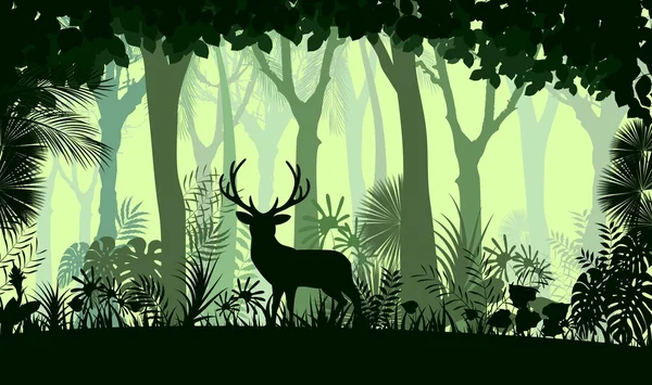 Fondo forestal con ciervos silvestres de árboles — Vector de stock