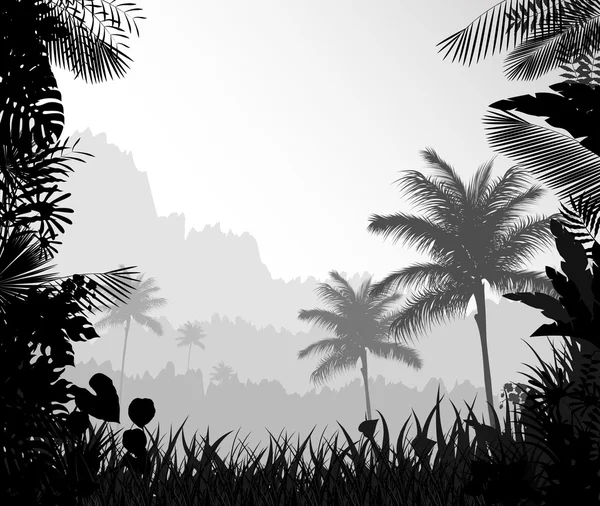 Krajobraz las mglisty z palmy — Wektor stockowy