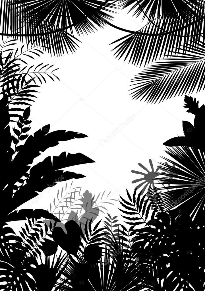 Exotic tropical background of silhouette