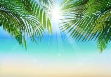 Palmiye yaprağı ve arka plan mavi gökyüzü güneş ışınları. Yaz tatili