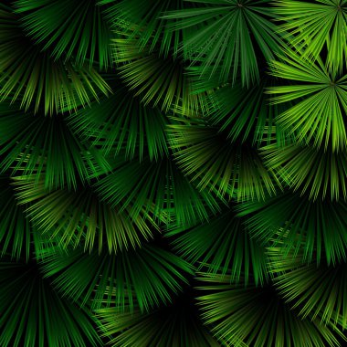 Tropikal yaprak siyah bir arka plan ile egzotik desen