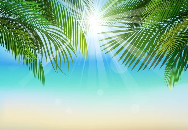 Palm φύλλα φόντο μπλε ουρανό και ηλιαχτίδες. Καλοκαιρινές διακοπές — Διανυσματικό Αρχείο