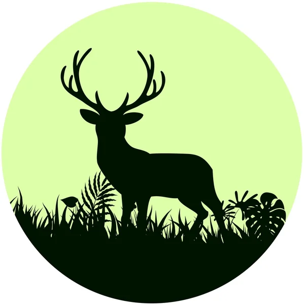 Fondo forestal con ciervos silvestres de árboles en el marco conceptual del círculo — Vector de stock