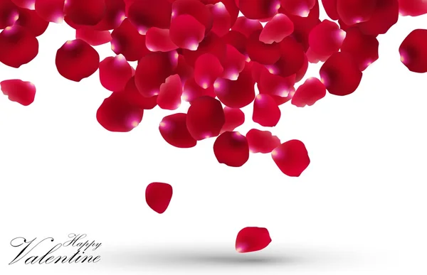 Valentines day with rose petals on white background — Stock Vector