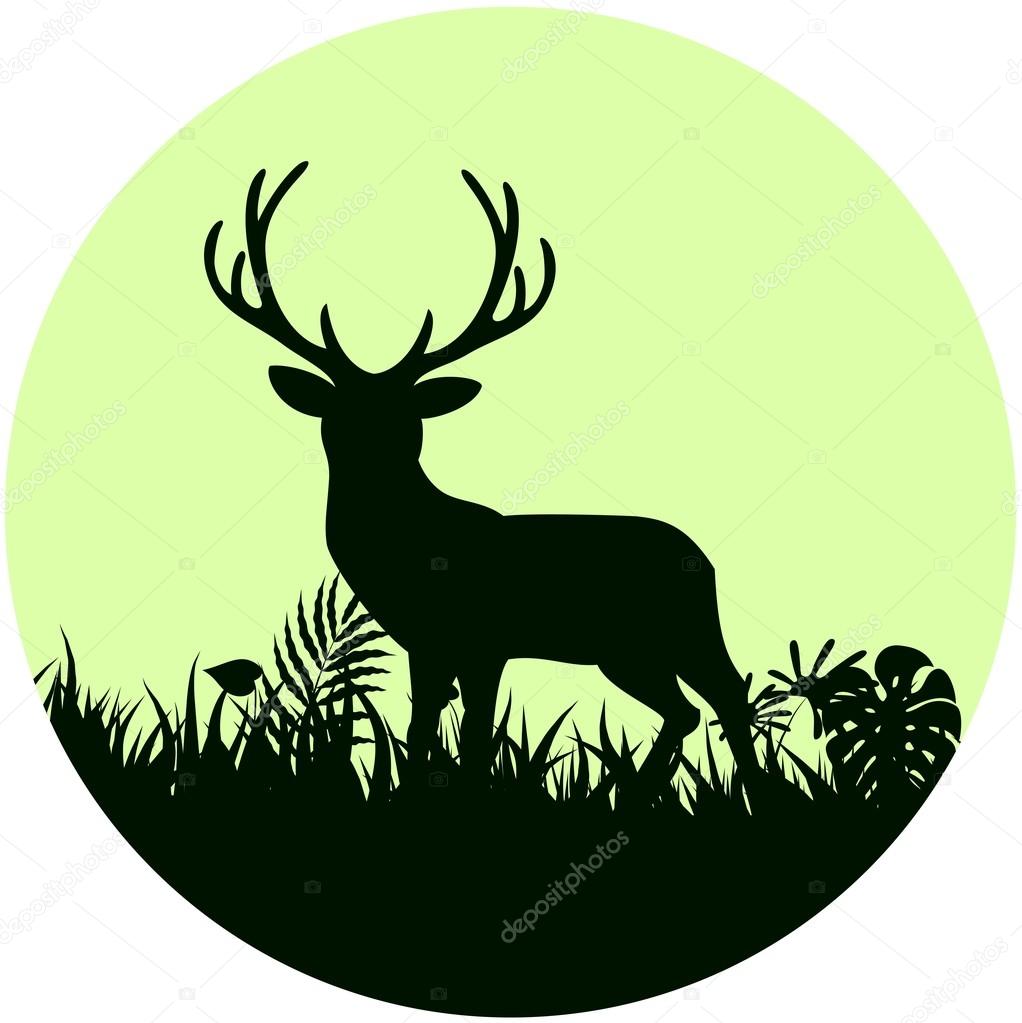 Forest background with wild deer of trees on concept frame of circle