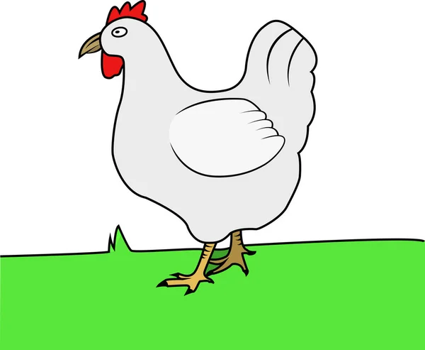 Vector Pollo Hierba Verde Fondo Blanco Perfecto Para Aprendizaje Del — Archivo Imágenes Vectoriales