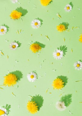 Different types of flowers arranged as a pattern. Yellow and white flowers on a green background.. International Women's Day  concept. Minimal flay lay.