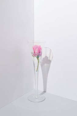 Köşesinde hafif belirgin gökkuşağı renkleri bulunan bir camda pembe bir gül. Yumuşak renkte yumuşak yaz bahar konsepti