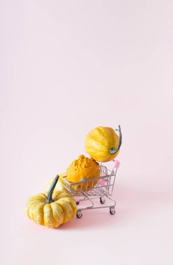 Pembe arka planda alışveriş arabasında balkabakları. Sonbahar alışveriş konsepti