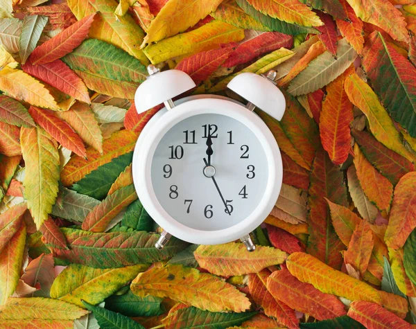 Une Vieille Horloge Rétro Sur Une Feuille Tombée Automne Automne — Photo