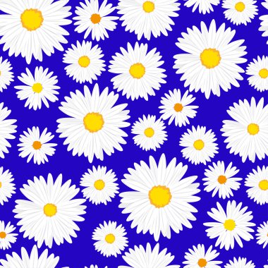 Seamless daisiesr pattern