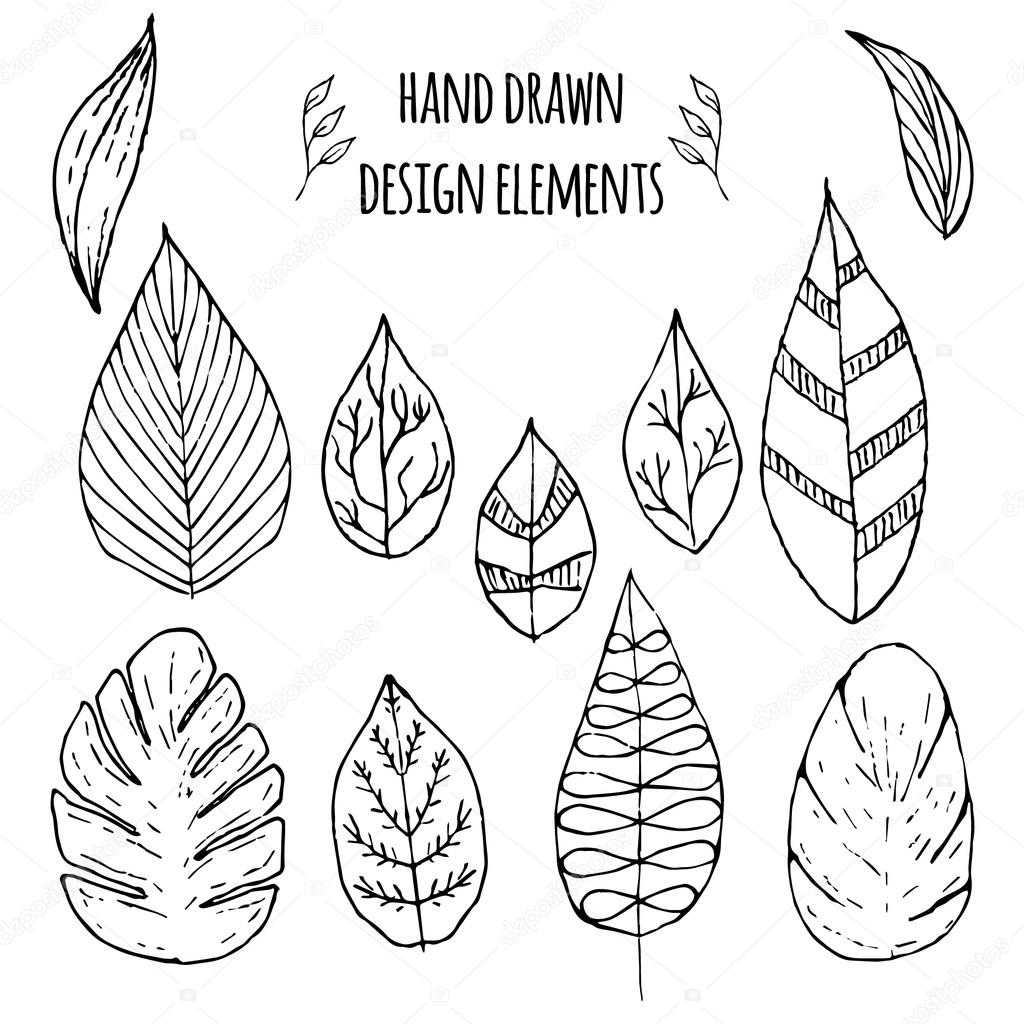 Set of hand drawn design elements